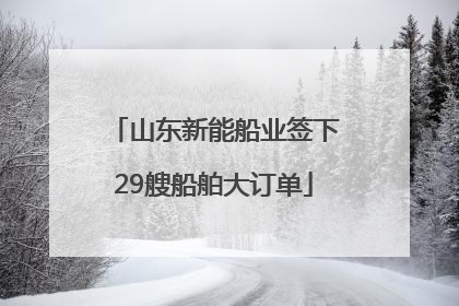 山东新能船业签下29艘船舶大订单